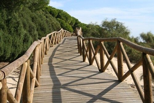 Un centenar de vecinos realizarán mañana una 'cadena humana' para limpiar Los Enebrales
