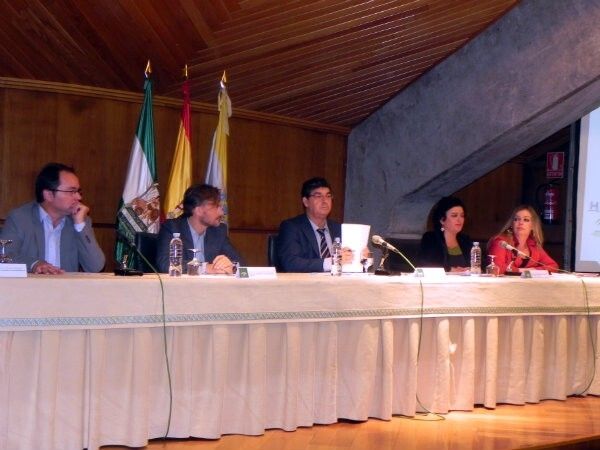 Valderas destaca la 'clara voluntad' de la Junta de Andalucía para buscar soluciones a los desahucios