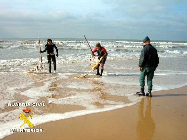 La Guardia Civil realiza 50 denuncias por marisqueo ilegal, interviene 123 kilos de coquinas y se incauta de 20 rastros