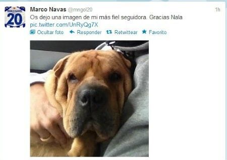 El runrún: Tu cara me suena...