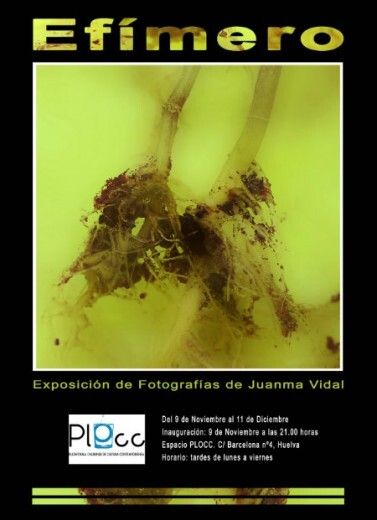 Juanma Vidal muestra su paseo fotográfico por lo 'Efímero' en el espacio PLOCC