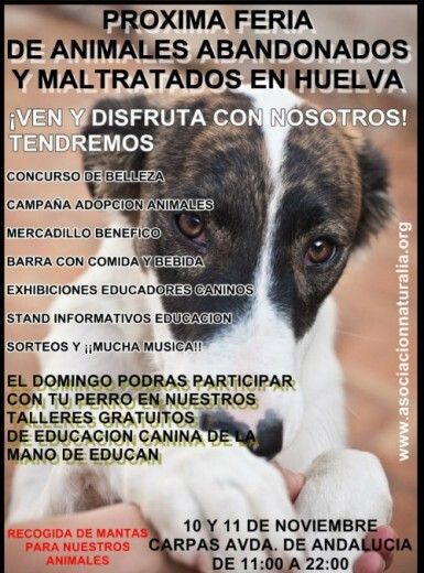 La Asociación Naturalia busca remover las conciencias en la IV Feria de Animales Abandonados y Maltratados