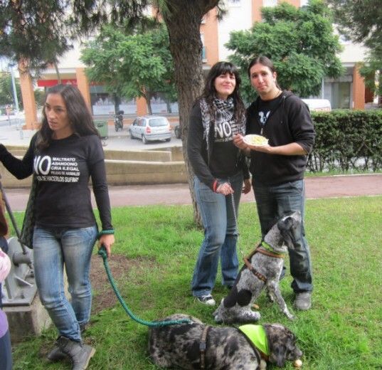 Fieles compañeros dispuestos a mejorar tu vida