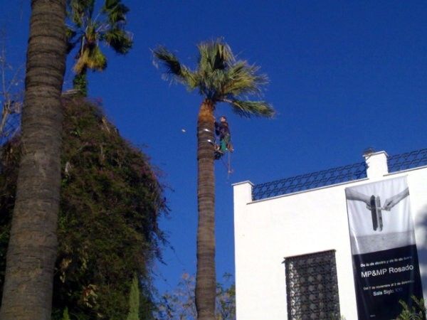 Cuando los jardineros se convierten en trapecistas