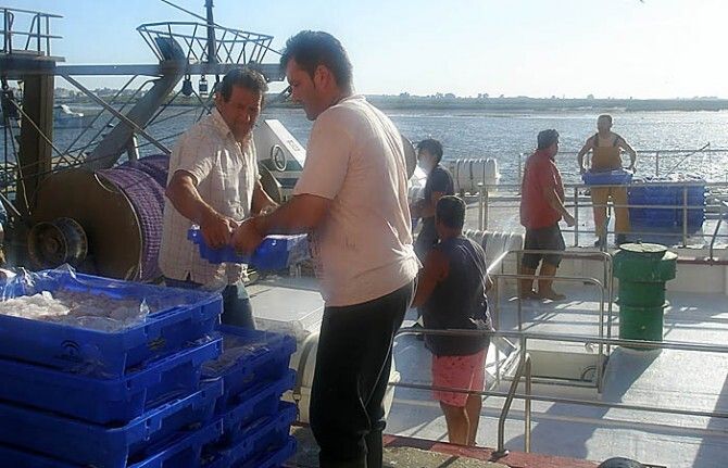 La Junta inicia las obras que triplicarán la capacidad de la lonja de cerco del puerto de Isla