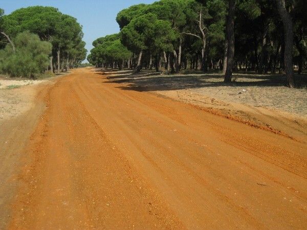 El Ayuntamiento renueva el camino de la depuradora