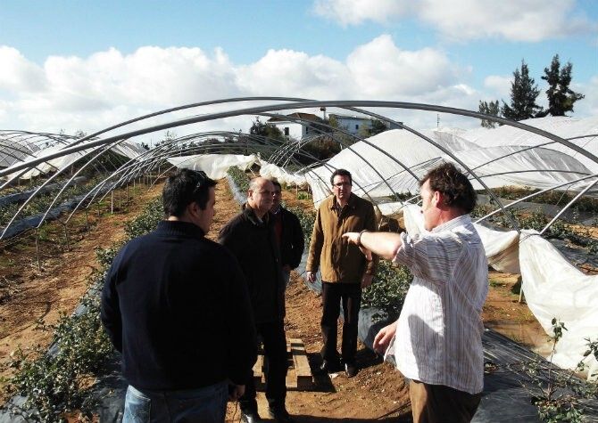 González pide a la Junta que evalúe los daños del temporal y destine ayudas para los agricultores