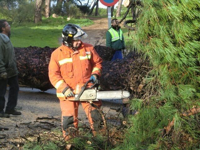 Los bomberos rescatan a una mujer atrapada en el incendio de una vivienda en Puebla de Guzmán