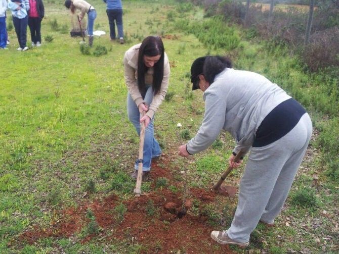 Vecinos de Niebla plantan más de un centenar de árboles en una jornada de reforestación