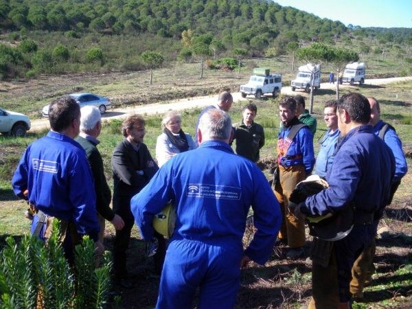 La Junta de Andalucía actuará sobre 3.000 hectáreas en la provincia dentro de las tareas de prevención del Plan Infoca