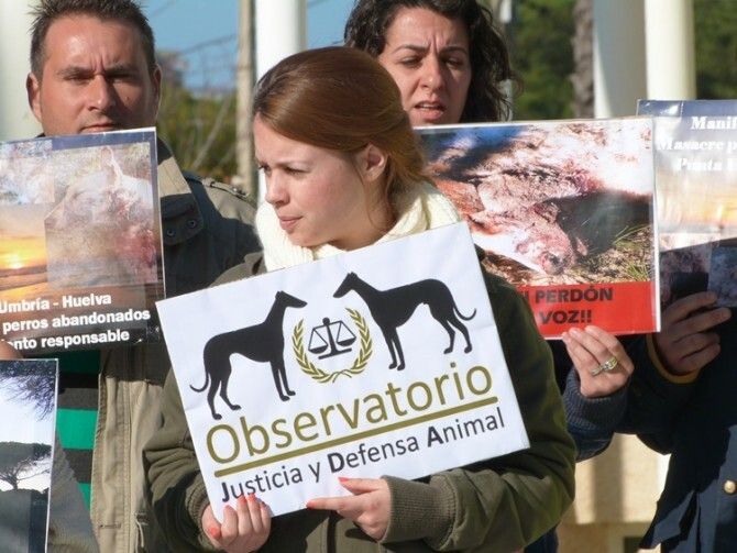 Manifestación en rechazo a la batida contra perros en Punta Umbría