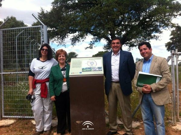 Tareas de vallado y señalización en el Conjunto Megalítico de La Zarcita