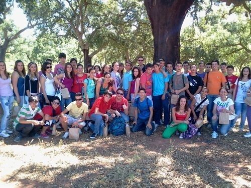 ENCE inicia una campaña de divulgación y sensibilización forestal sobre el cultivo de madera