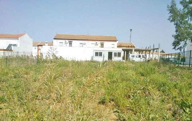 El PSOE denuncia el abandono del colegio Triana y pide a la alcaldesa que mejore las instalaciones