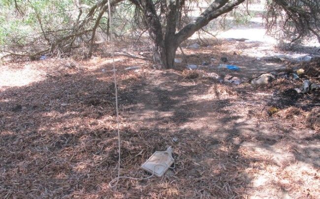 La Guardia Civil detiene a un pirómano cuando se disponía a prender fuego en un pinar de Mazagón