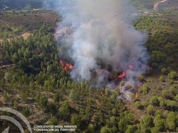 Estabilizado el incendio en el paraje Cerro del Águila en Nerva
