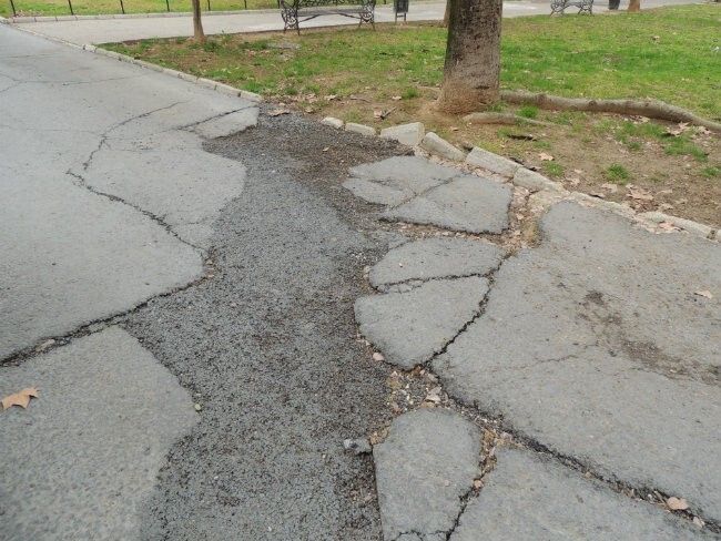 El PSOE denuncia los problemas en la limpieza y mantenimiento de las zonas verdes de Santa Marta
