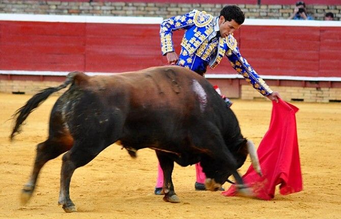 David de Miranda triunfa en su estreno con picadores