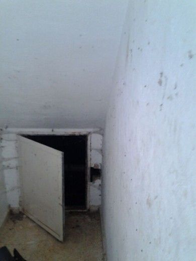 Vecinos de Isla Cristina denuncian que llevan dos años viviendo entre aguas fecales, cucarachas y ratas