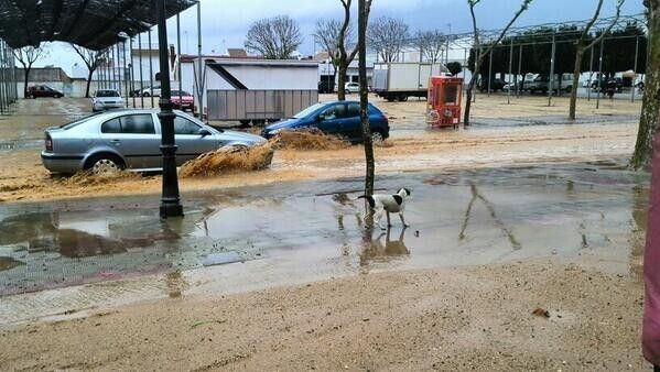 La lluvia causa estragos en Moguer