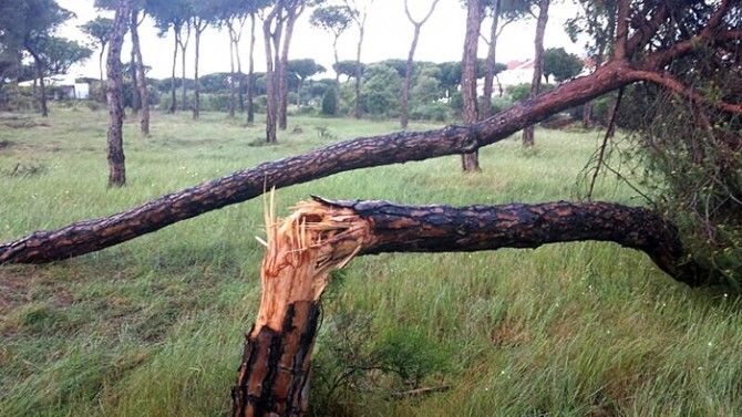 El temporal causa estragos en Mazagón