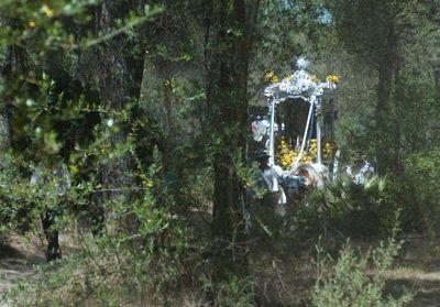 El runrún: Un 'lumbrera' en el camino