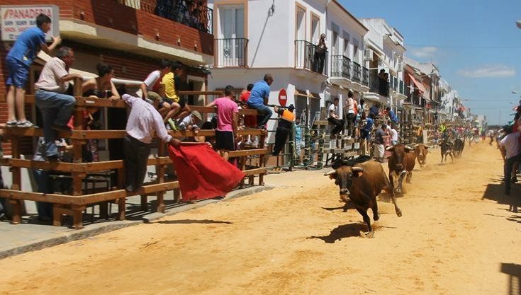 Momentos trepidantes con las vaquillas de Los Millares en las Capeas de San Juan