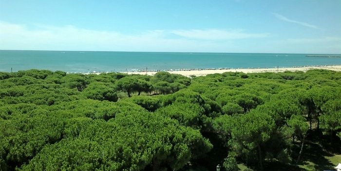 Las playas isleñas, listas para la temporada alta