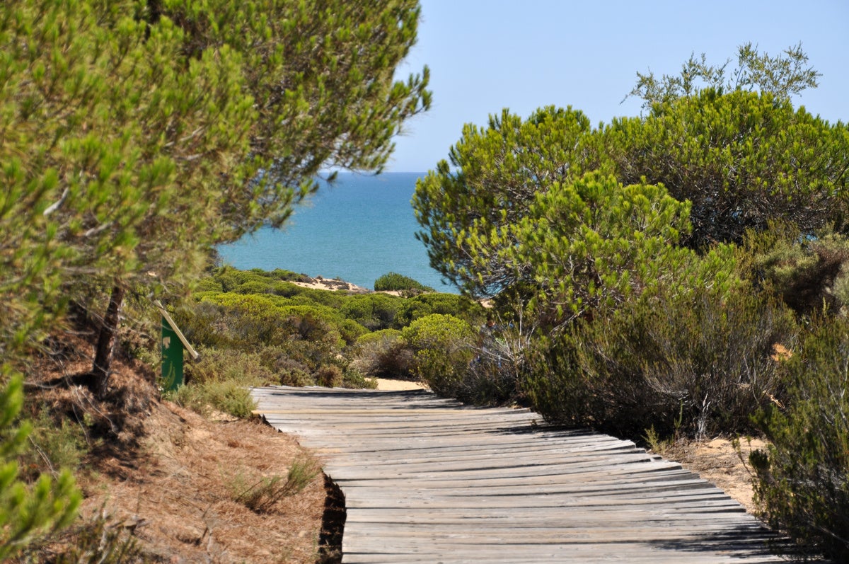 El sendero de Cuesta Maneli, con acceso a su playa, es uno de los mejores de Huelva para perderse este verano