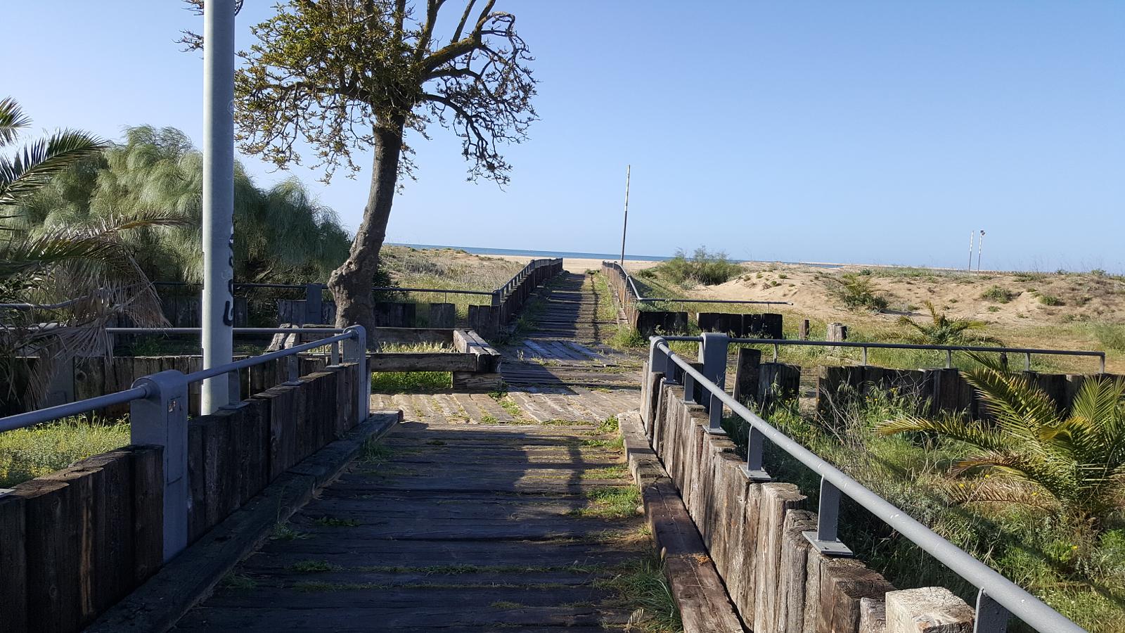 Senda del Camaleón, junto a la playa de Isla Cristina