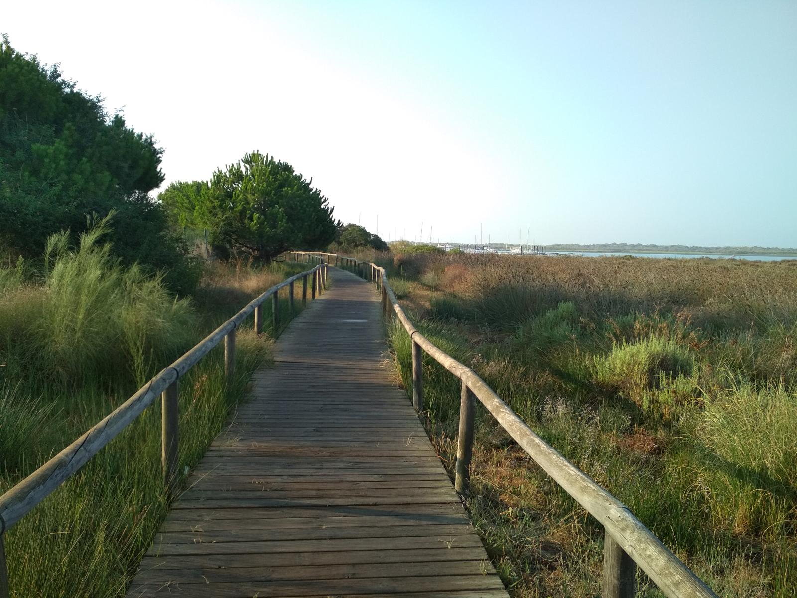 Sendero junto al río Piedras