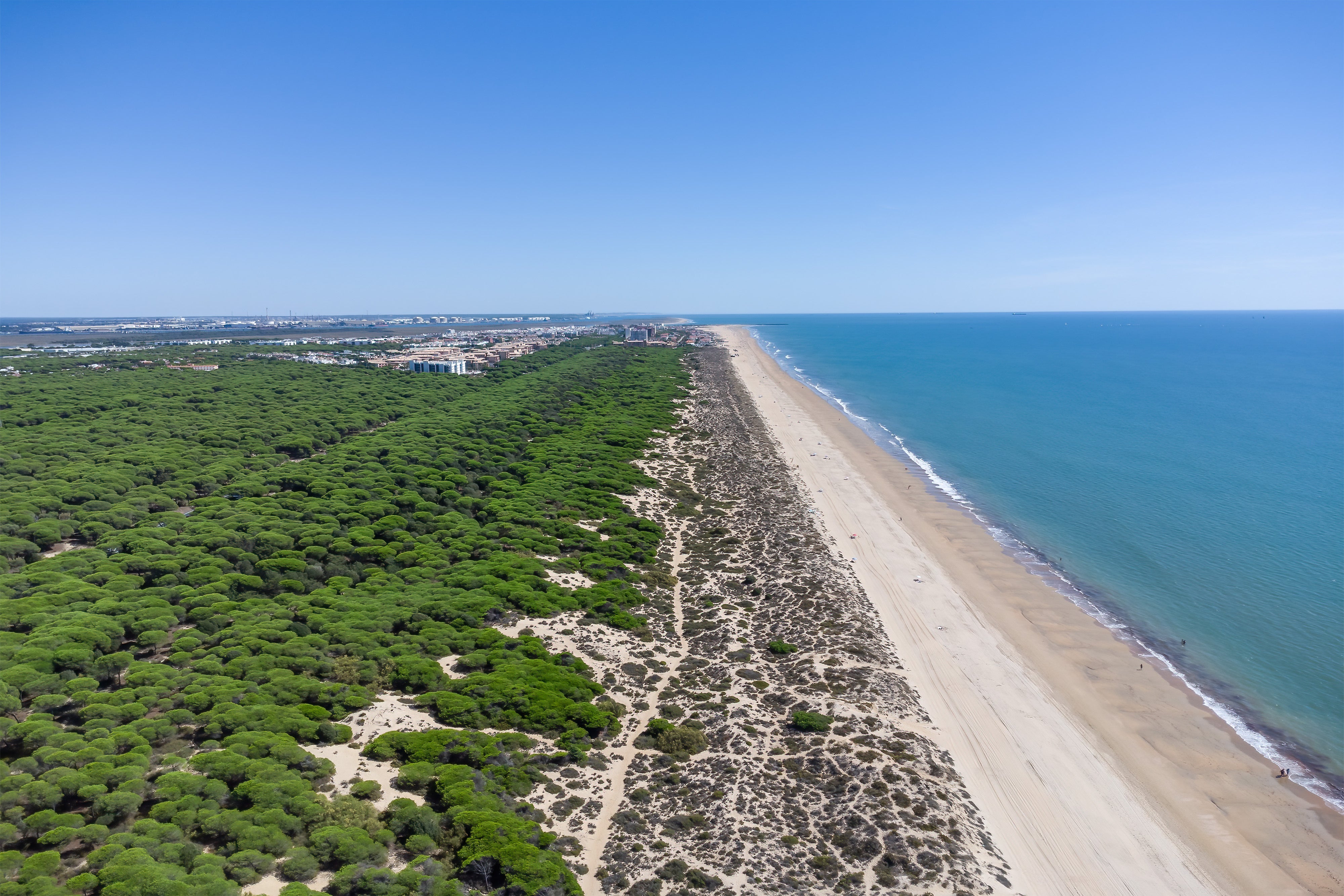 Siete playas vírgenes de Huelva que tienes que descubrir este verano