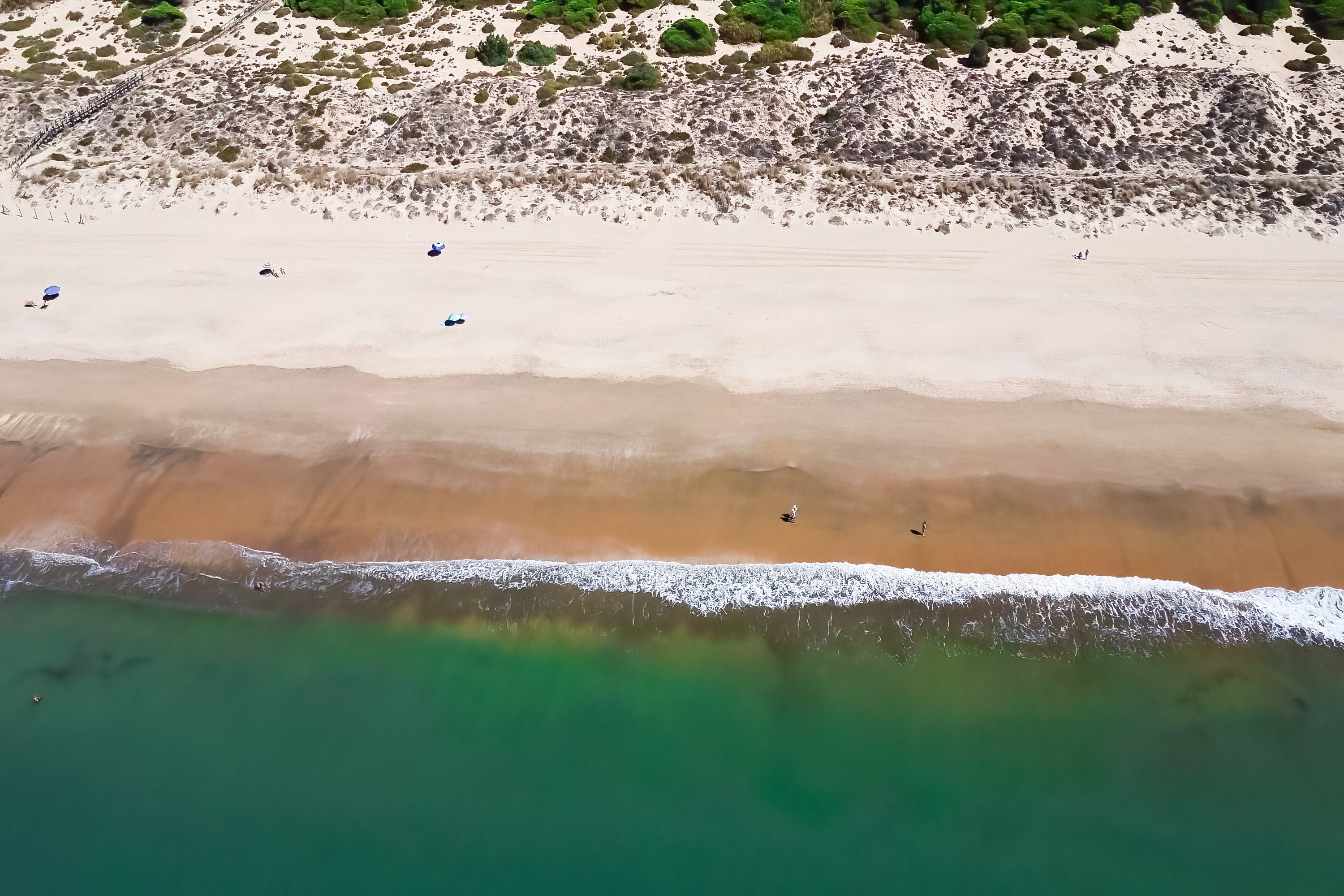 Vista aérea de la Playa de los Enebrales