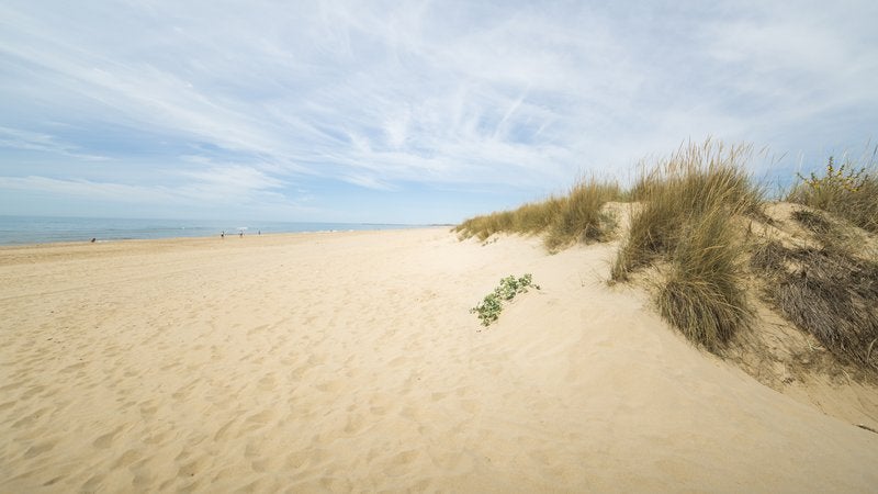 Playa del Hoyo, en Isla Cristina