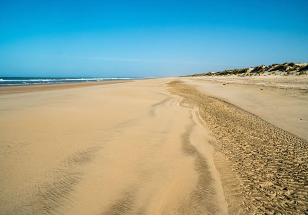 Playa de Doñana