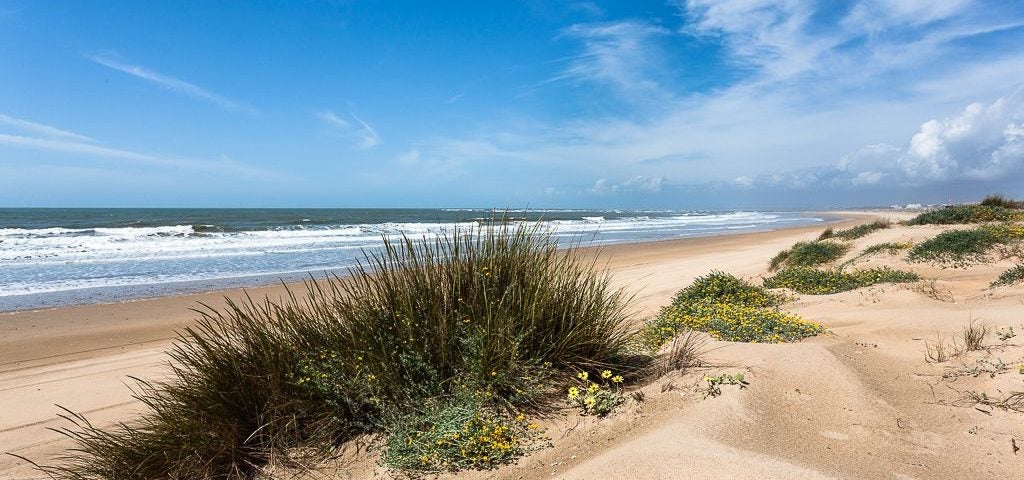 Playa de La Bota