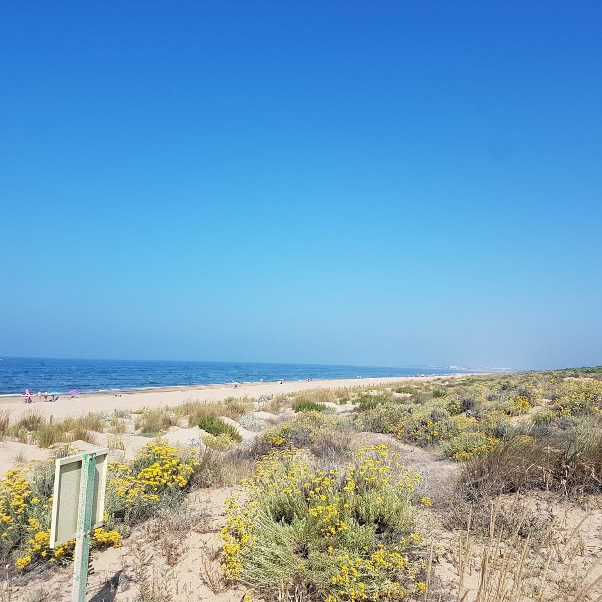 Playa de Los Enebrales