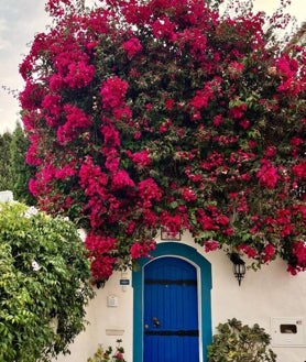 Imagen secundaria 2 - Diferentes rincones de Burgau