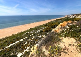 Una de las playas más aisladas y menos masificada de Andalucía está en Huelva: sólo puedes llegar caminando