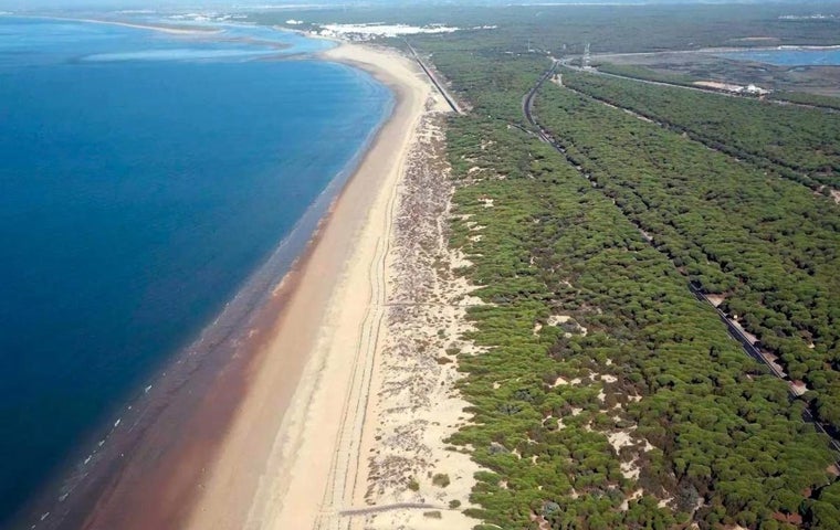 Panorámica aérea de la playa
