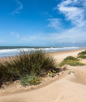 Imagen secundaria 2 - La playa secreta de Huelva que se encuentra dentro de un paraíso natural: está rodeada de pinos y tiene aguas cristalinas