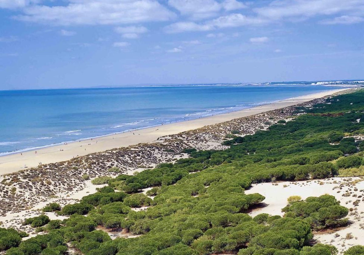 Vista panorámica de la playa de la Mata Negra, en Punta Umbría, provincia de Huelva