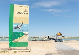 La playa infinita de Huelva que recomienda la revista Viajar: «Protegida, virgen y rodeada de fauna autóctona»