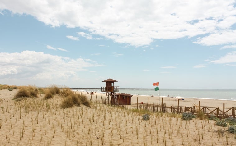 Imagen principal - Fue a esta playa de Huelva y se llevó una decepción: «Demasiada gente, agua sin movimiento...»