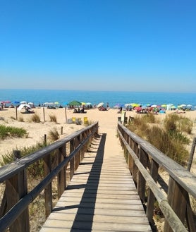Imagen secundaria 2 - En esta playa de Huelva puedes ver camaleones en libertad: un auténtico paraíso natural en medio de la costa
