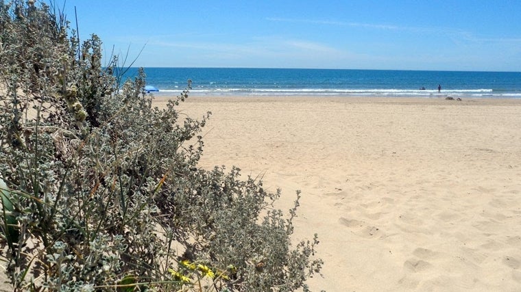 Imagen de la playa de La Bota