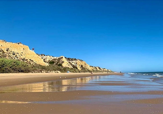 huelva-con-perro-el-mapa-actualizado-de-las-playas-pet-friendly-en-2026