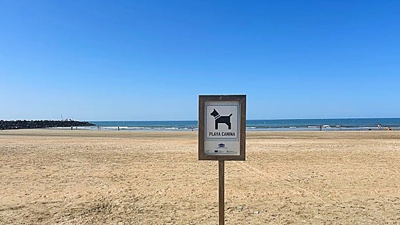 Jesús Caramés, veterinario: «Las playas caninas son para acompañar al perro, no para que él nos acompañe a nosotros»