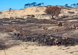 El Gobierno de Moreno Bonilla saca pecho por la millonaria inversión realizada tras el incendio de Doñana