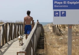 Las mejores playas para perros en Huelva en las que disfrutar del sol y el mar con tu mascota